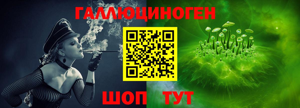 Псилоцибиновые грибы GOLDEN TEACHER  сколько стоит  Шали  Галлюциногенные грибы прущие грибы  Вход с VPN 